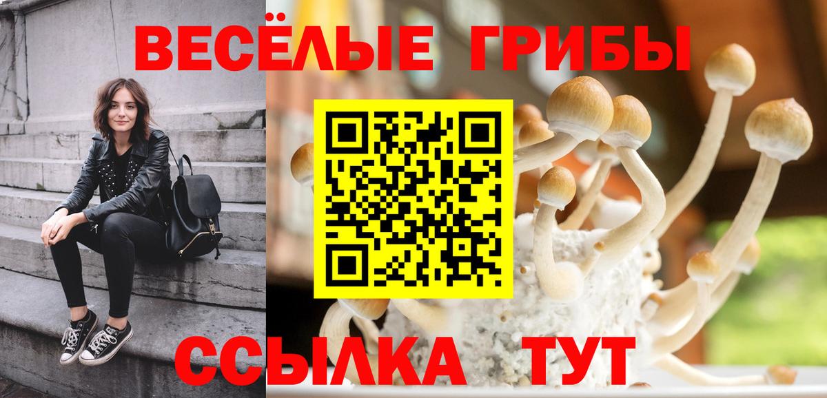 Псилоцибиновые грибы мухоморы Лениногорск