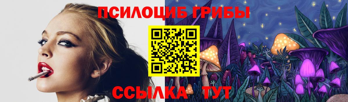 Псилоцибиновые грибы ЛСД  Вход с VPN  Псилоцибиновые грибы Psilocybe  Лениногорск 
